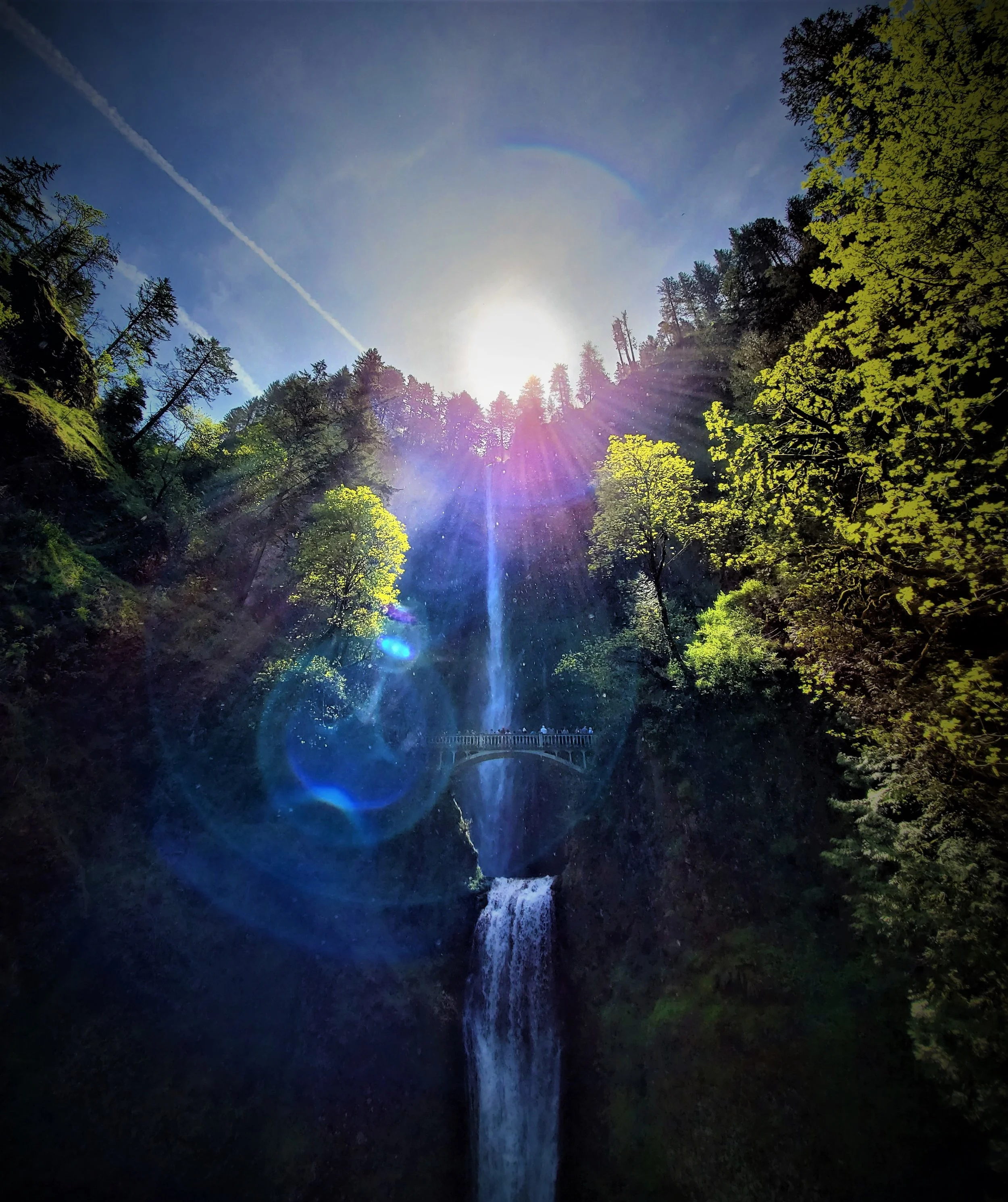 Half Day Columbia River Gorge Waterfalls Tour — Infinite Oregon Tours